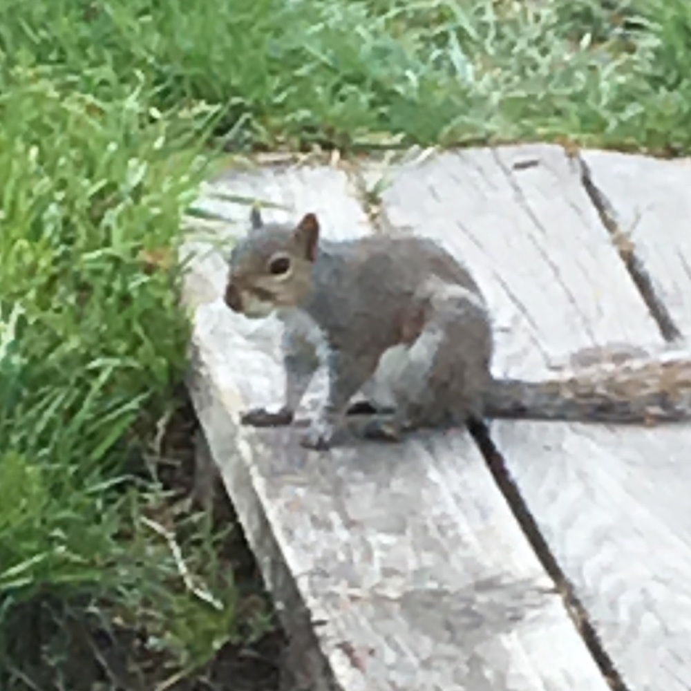 Meet your Posher, Kendyll